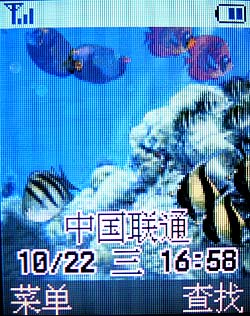 音.色.美 三星64和弦手机X559独家评测 