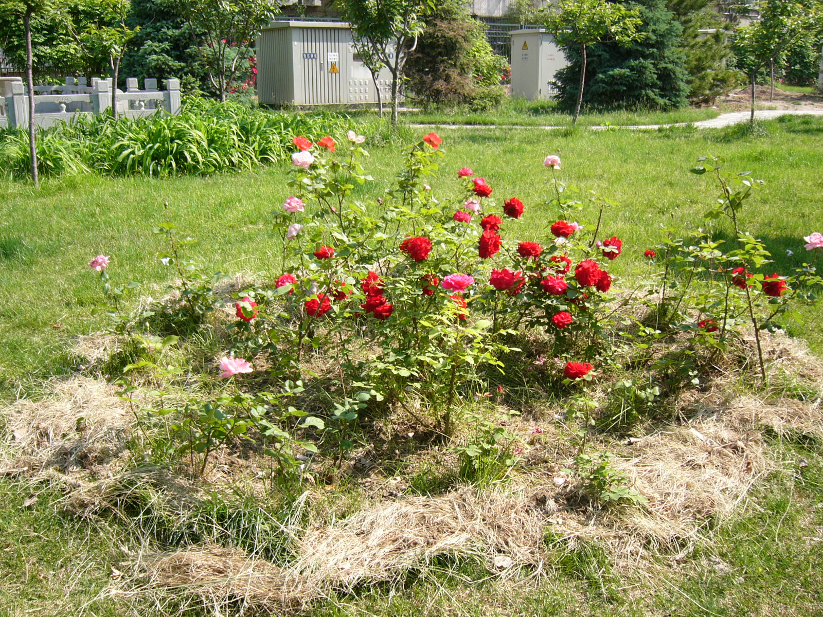 200万像素自动对焦+索爱k750i独家详评